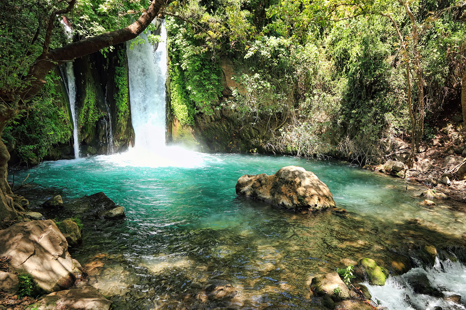 Banias Nature Reserve