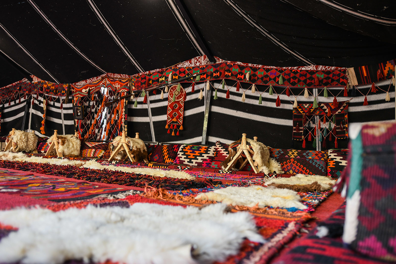 Bedouin Hospitality in the Negev Desert