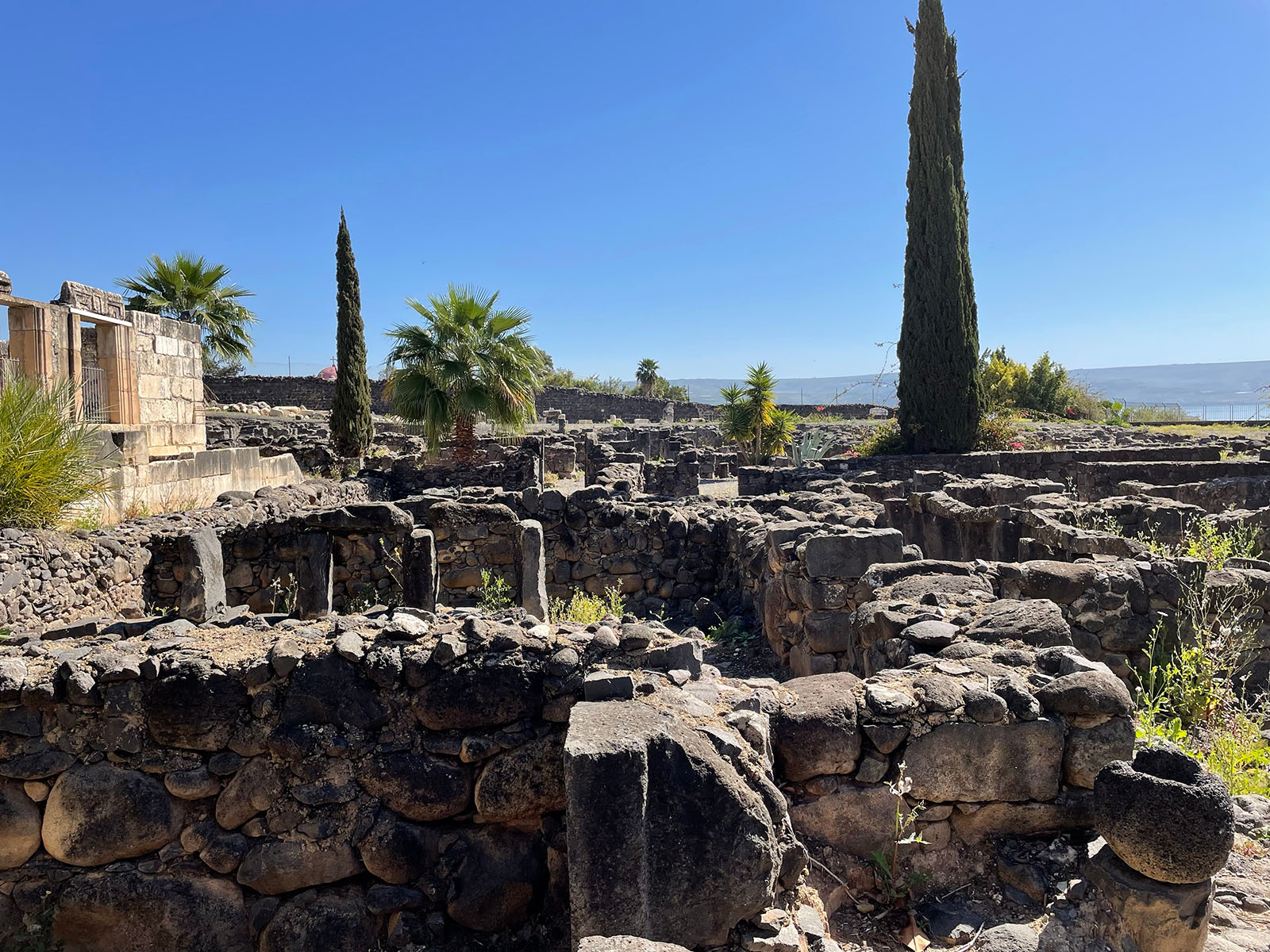 Capernaum 