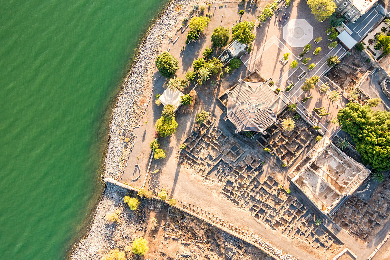 Capernaum 