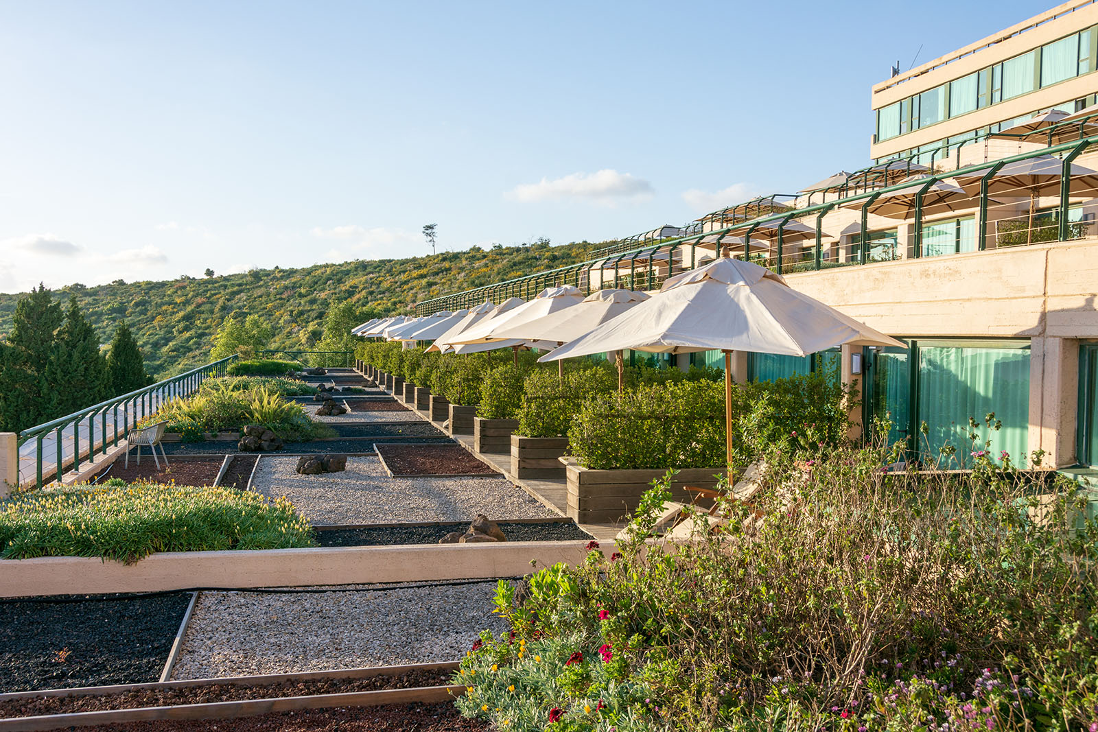 Carmel Forest Spa Resort