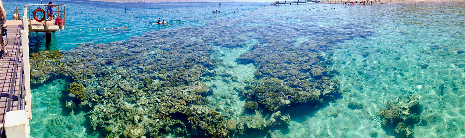 Coral Beach Nature Reserve
