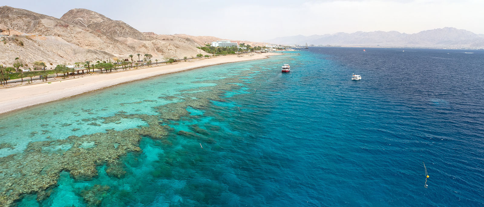 Coral Beach