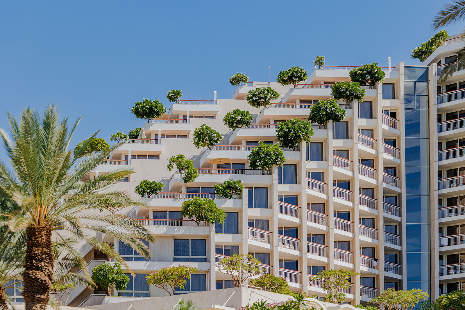 Dan Eilat Hotel