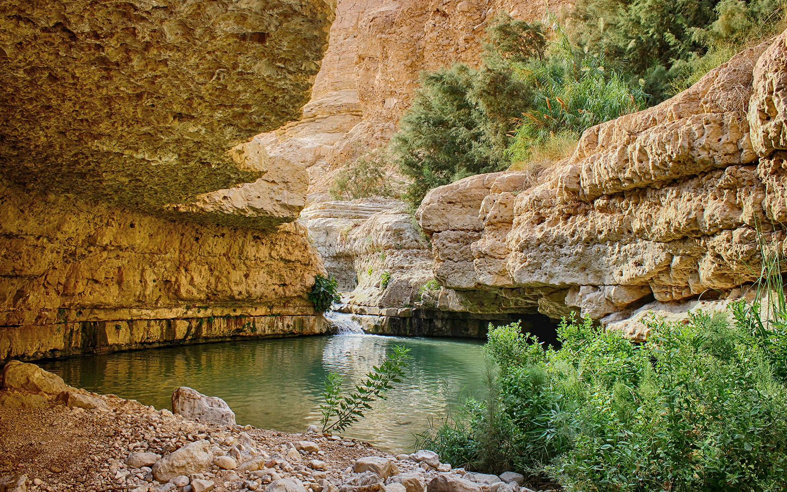 Ein Gedi