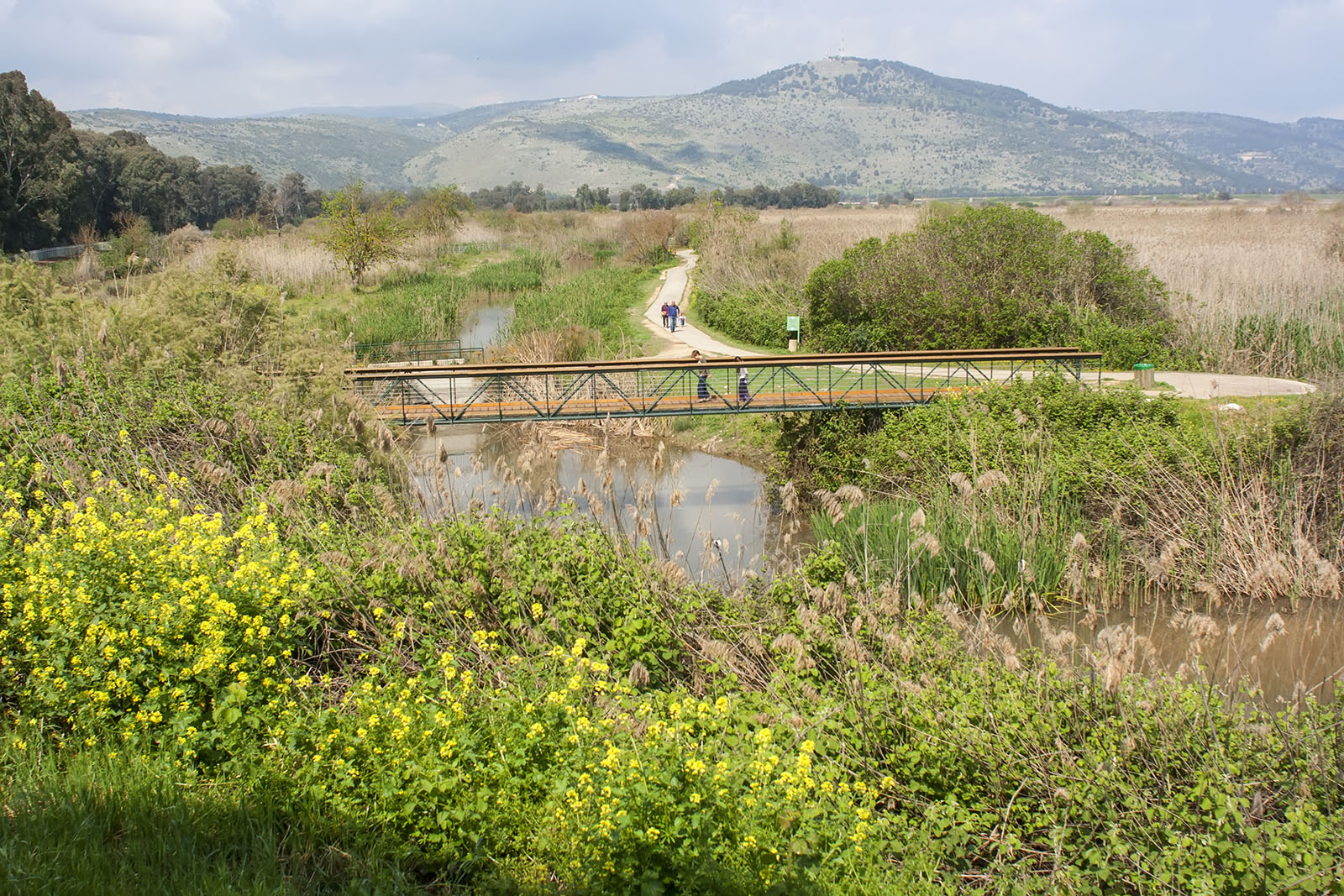 Hula Valley Nature Reserve
