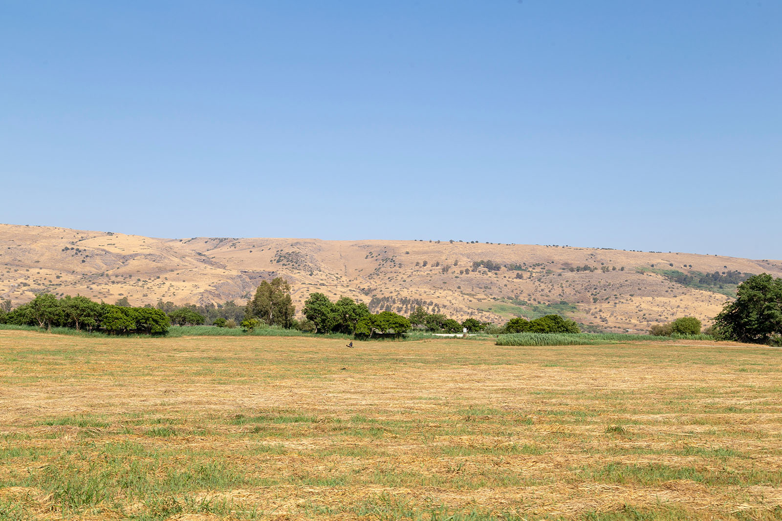 Hula Valley Nature Reserve
