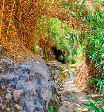 Nature & Adventure<br />

