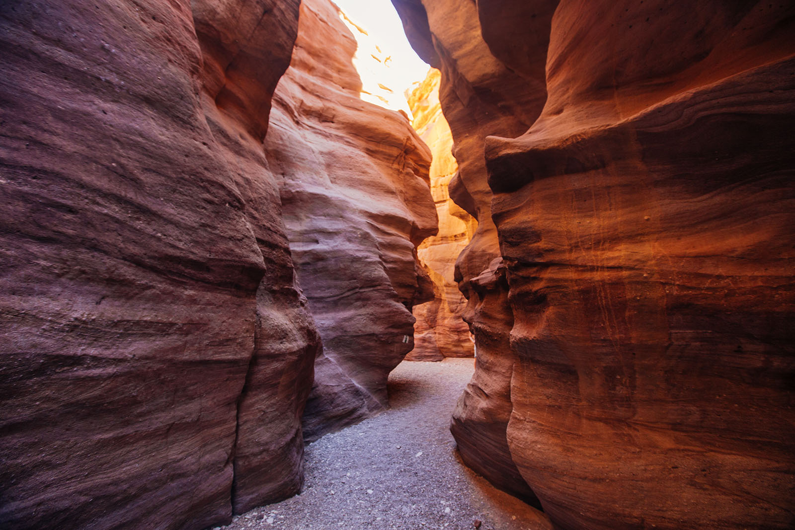 https://israeltourism.passport.news/things-to-do/nature-adventure/red-canyon/