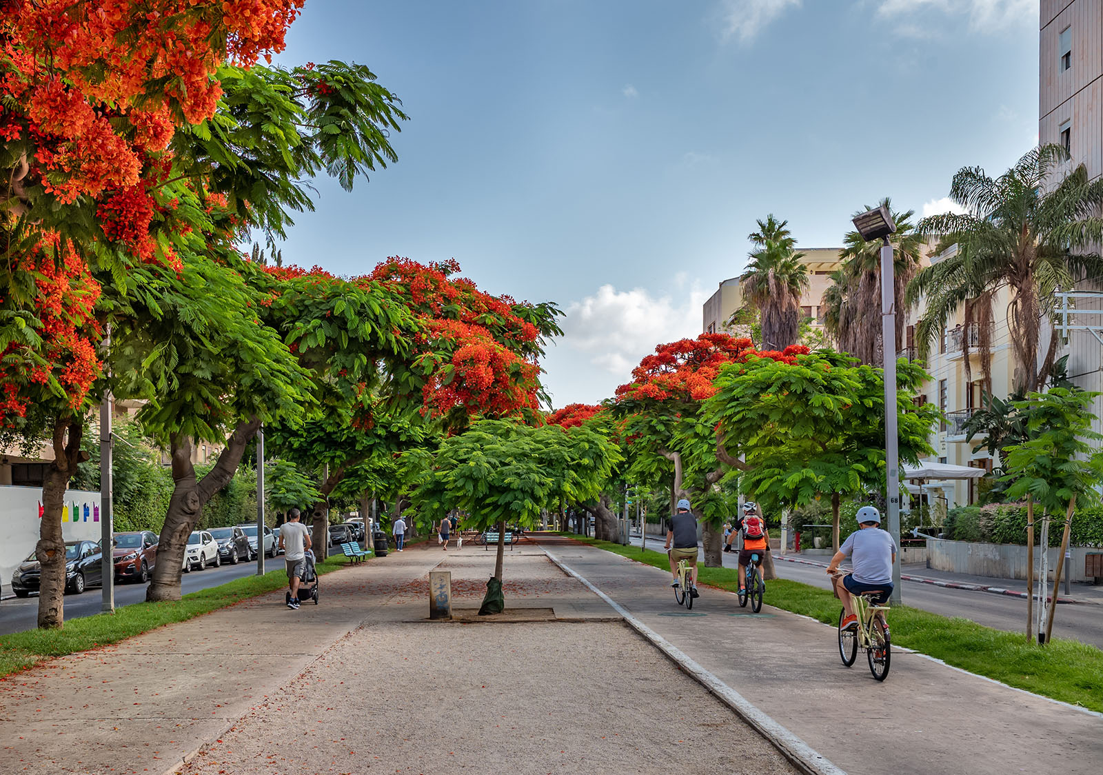 Rothschild Boulevard