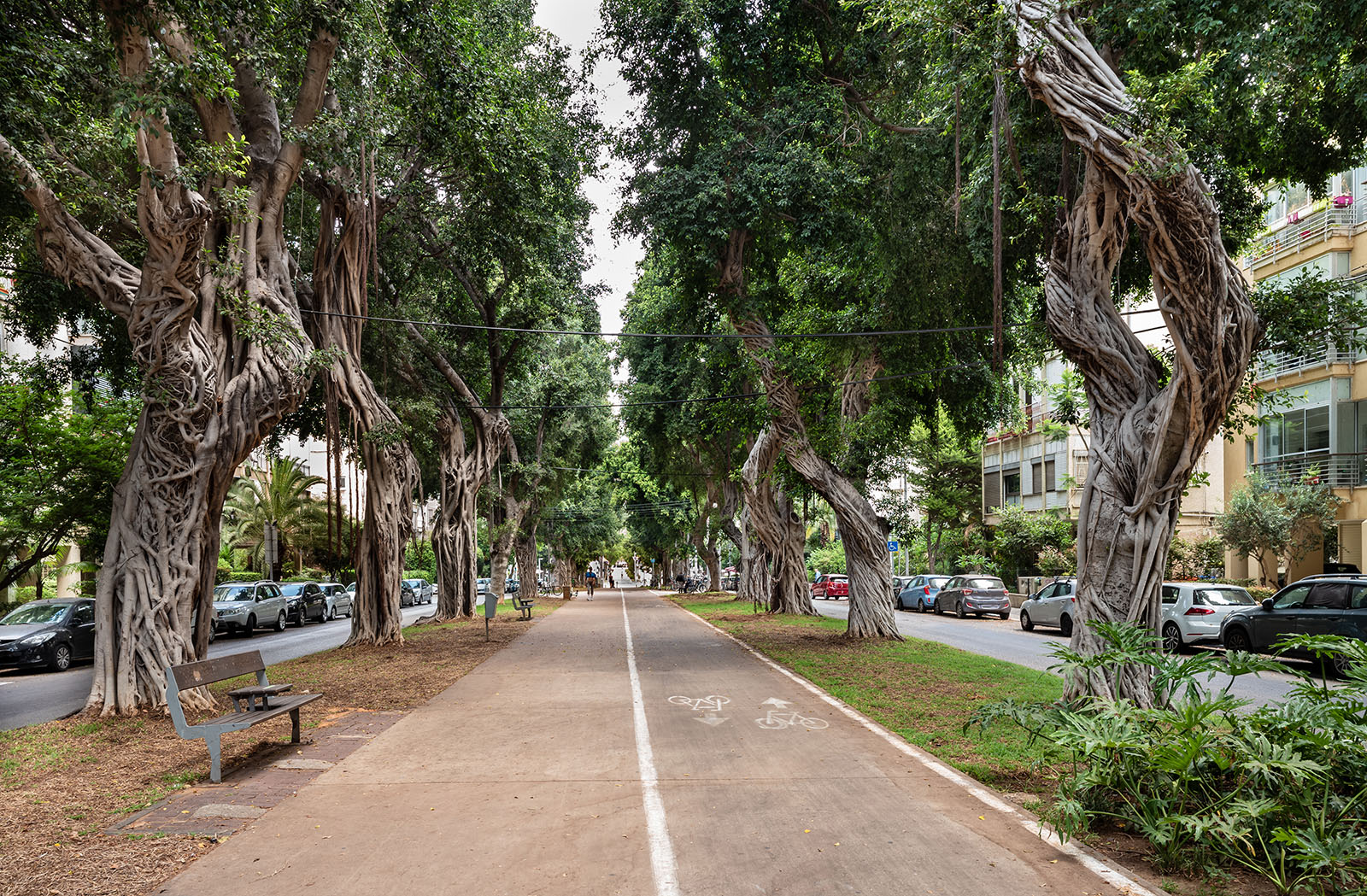 Rothschild Boulevard
