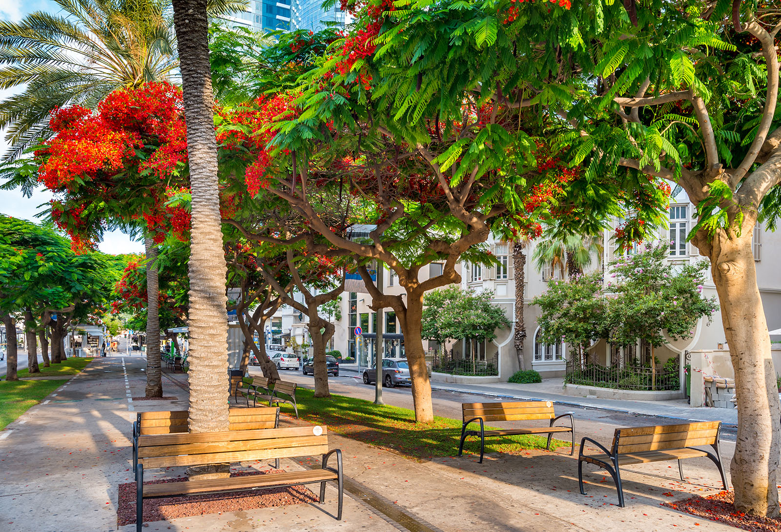 Rothschild Boulevard