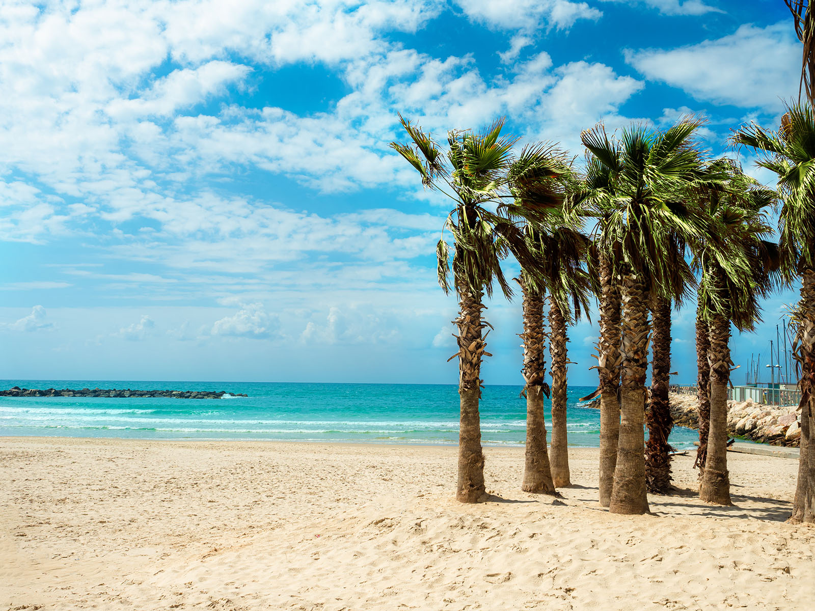 Royal Beach Hotel