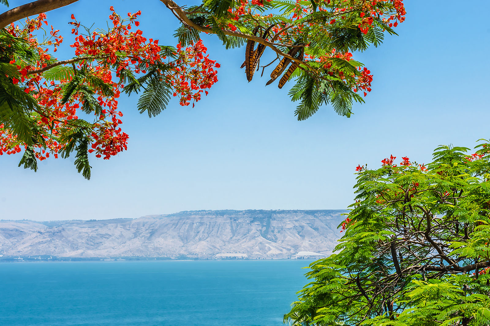 Setai Sea of Galilee