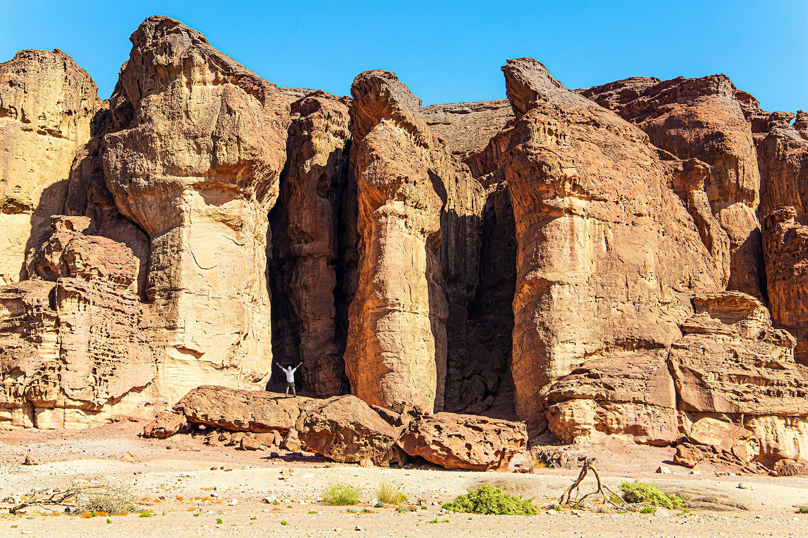 Timna Park