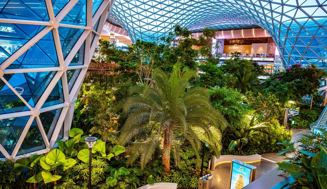 Qatar Travel Update: Airlines Gradually Restart Flights from Hamad Airport, Here Are the Dates
