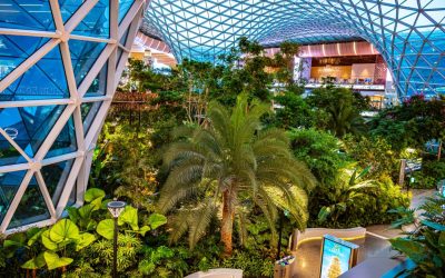 Qatar Travel Update: Airlines Gradually Restart Flights from Hamad Airport, Here Are the Dates